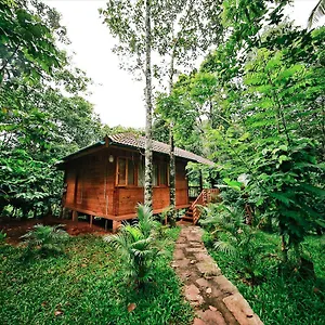 Bamboo Creek Resort